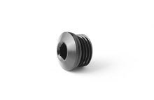 Load image into Gallery viewer, GFB -6AN Blanking Plug (Suits FXR 8060)